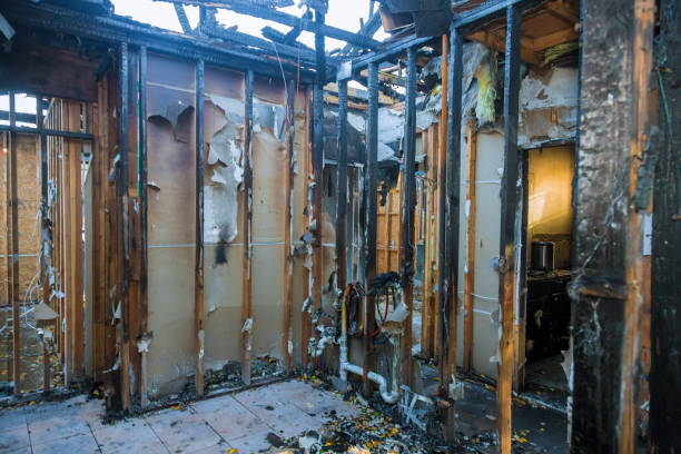 Professional Odor Removal technician working in Louisville, KY