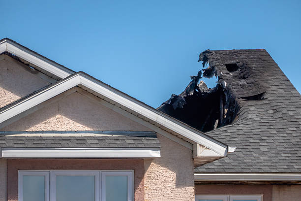 Top rated local Odor Removal specialists in Louisville, KY